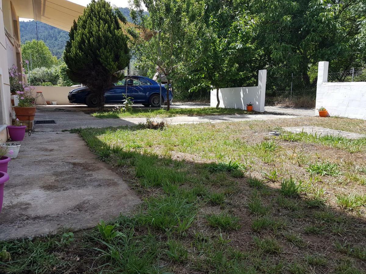 Villa Polina سكالا بوتامياس المظهر الخارجي الصورة